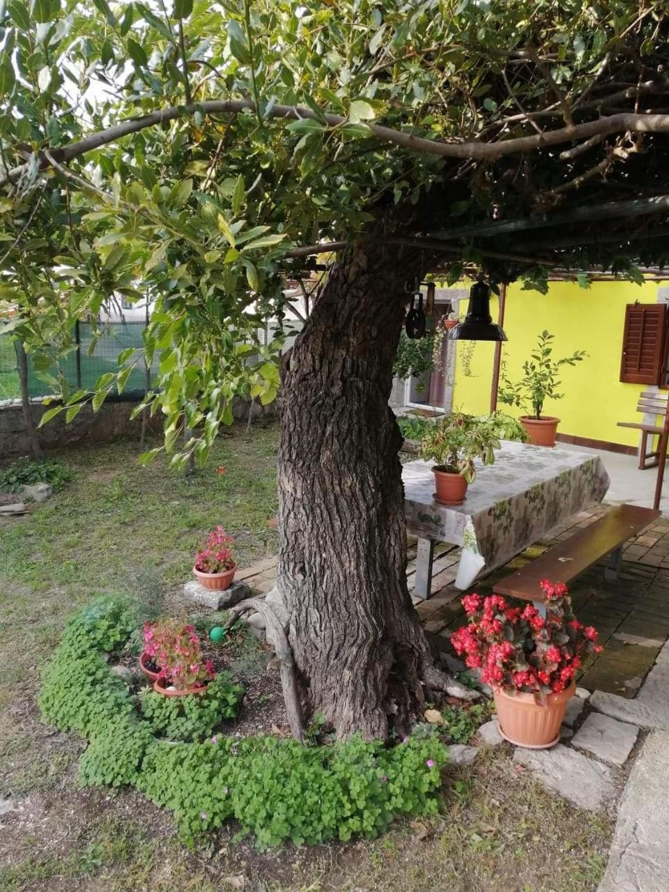 לאבין Holiday House Nono מראה חיצוני תמונה